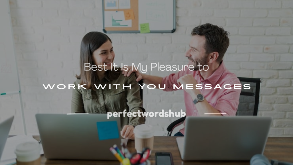 it is my pleasure to work with you
